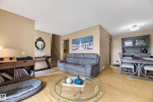 13204 47 Street Nw, Edmonton, AB - Indoor Photo Showing Living Room