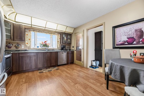 13204 47 Street Nw, Edmonton, AB - Indoor Photo Showing Kitchen With Double Sink