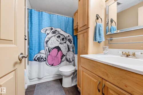 13204 47 Street Nw, Edmonton, AB - Indoor Photo Showing Bathroom