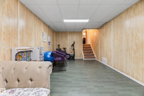 13204 47 Street Nw, Edmonton, AB - Indoor Photo Showing Basement
