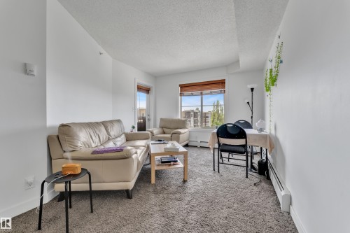 Carpeted flooring, white painted walls, wood-finish window blinds, and a built-in wall heater - #409 11804 22 Av Sw, Edmonton, AB - Indoor Photo Showing Living Room