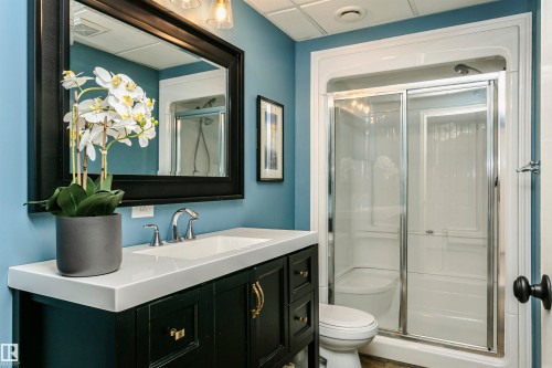 15104 42 Avenue Nw, Edmonton, AB - Indoor Photo Showing Bathroom