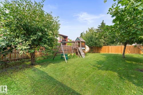 Expansive grassy yard featuring mature trees and a wood privacy fence - 34 Stirling Road Nw, Edmonton, AB - Outdoor With Backyard