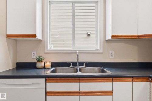 2050 Tanner Wynd Nw, Edmonton, AB - Indoor Photo Showing Kitchen With Double Sink