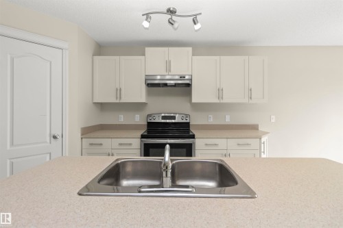 17205 73 Street Nw, Edmonton, AB - Indoor Photo Showing Kitchen With Double Sink