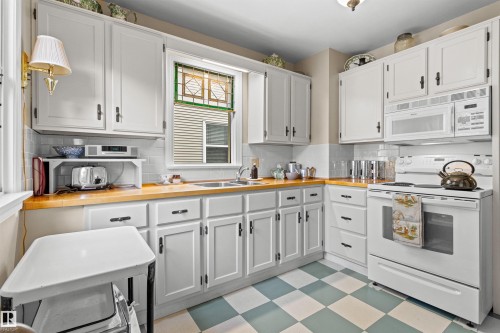 8842 89 Street Nw, Edmonton, AB - Indoor Photo Showing Kitchen With Double Sink