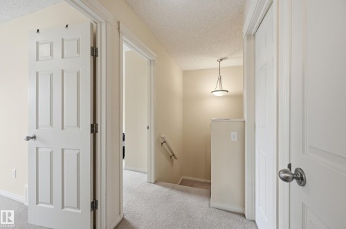 1516 76 Street Sw, Edmonton, AB - Indoor Photo Showing Kitchen