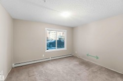 Carpeted room featuring a single window and neutral wall paint - 