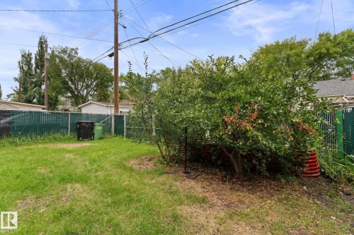 Expansive grassy yard area with established perimeter fencing and mature trees - 10825 93 Street Nw, Edmonton, AB - Outdoor