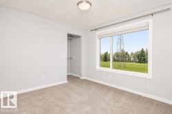 Neutral tone painted walls - 