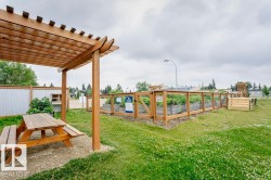 Wooden pergola with an exposed beam structure - 