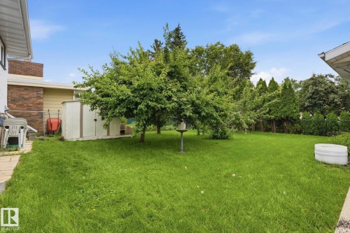 Expansive grassy yard with mature trees and a storage shed - 7 Graham Avenue, St. Albert, AB - Outdoor