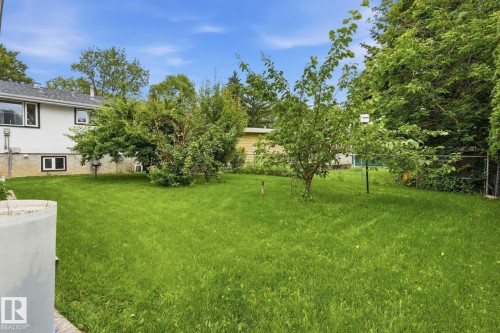 Expansive green lawn with mature trees and a chain-link fence - 7 Graham Avenue, St. Albert, AB - Outdoor