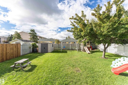 Expansive lawn area with a mature tree, privacy fencing, and a storage shed - 4521 29 Avenue Nw, Edmonton, AB - Outdoor With Backyard
