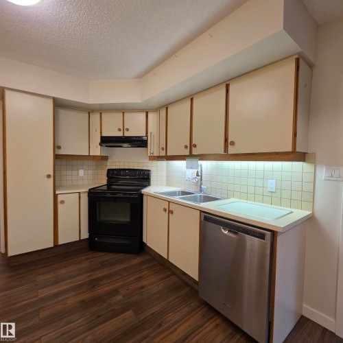 #2C 10050 118 St Nw, Edmonton, AB - Indoor Photo Showing Kitchen With Double Sink
