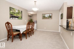 Recessed lighting, neutral paint palette, and textured carpeting - 