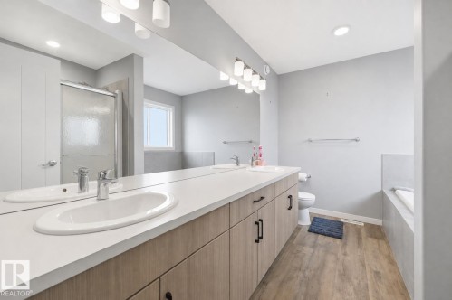 22135 96 Avenue Nw, Edmonton, AB - Indoor Photo Showing Bathroom