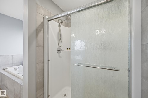 22135 96 Avenue Nw, Edmonton, AB - Indoor Photo Showing Bathroom