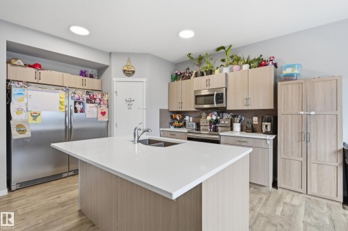 22135 96 Avenue Nw, Edmonton, AB - Indoor Photo Showing Kitchen With Double Sink