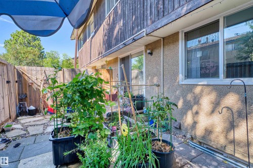 Private fenced yard with stone paver patio and wood fencing - 2730 105 Street Nw, Edmonton, AB - Outdoor With Exterior