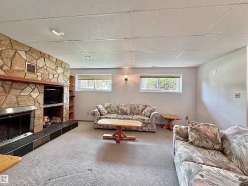 Lower-3rd Level - 2423 83 Street Nw, Edmonton, AB - Indoor Photo Showing Living Room With Fireplace