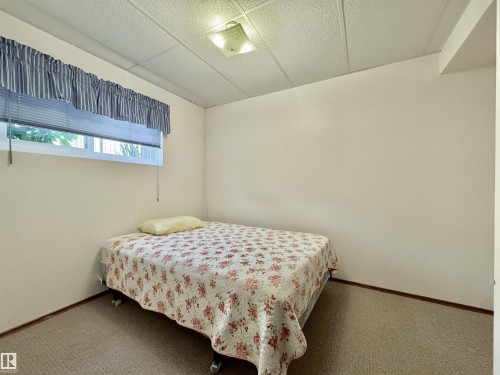 Lower/3rd Level - 2423 83 Street Nw, Edmonton, AB - Indoor Photo Showing Bedroom