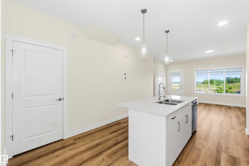4582 Warbler Loop Nw, Edmonton, AB - Indoor Photo Showing Kitchen With Double Sink