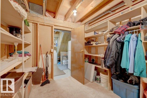 Built-in wood shelving, exposed ceiling joists, and carpeted flooring - 307 Northgate Terrace Nw, Edmonton, AB - Indoor With Storage
