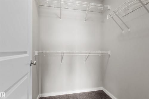Built-in wire shelving, white interior paint, and gray carpeted flooring - 2355 Kelly Circle Circle Sw, Edmonton, AB - Indoor With Storage