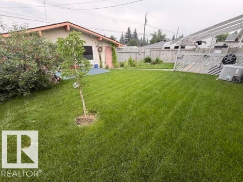 Expansive green lawn with a young tree, bordered by a stucco structure with a pink trim, and a slatted wooden fence - 6824 89 Avenue Nw, Edmonton, AB - Outdoor