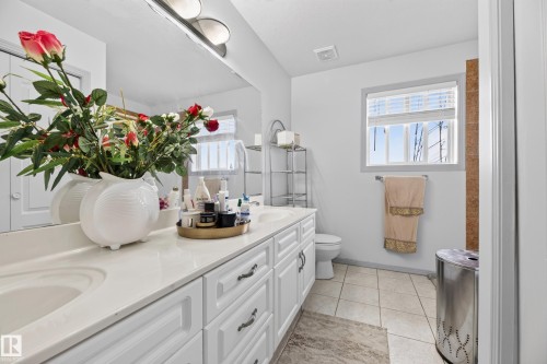 979 Hollingsworth Bend Nw, Edmonton, AB - Indoor Photo Showing Bathroom