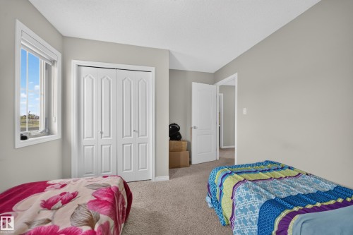 Carpeted flooring, bi-fold closet doors, and light-toned walls - 1927 51 Street Sw, Edmonton, AB - Indoor Photo Showing Bedroom