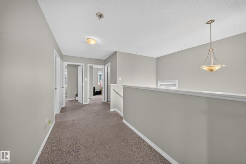 Carpeted hallway with light gray walls, white trim, and multiple doorways - 1927 51 Street Sw, Edmonton, AB - Indoor Photo Showing Other Room
