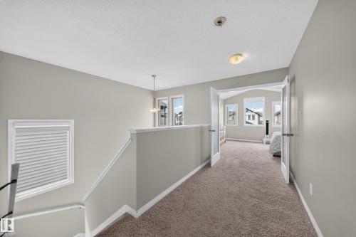 Carpeted hallway with light gray walls, white trim, and a semi-flush ceiling light - 1927 51 Street Sw, Edmonton, AB - Indoor Photo Showing Other Room
