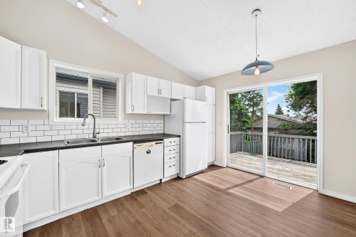3035 134 Avenue Nw, Edmonton, AB - Indoor Photo Showing Kitchen With Double Sink