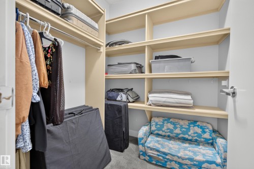 Built-in shelving with multiple levels, hanging rod, and carpeted flooring - 11018 122 Street Nw, Edmonton, AB - Indoor With Storage