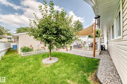 Expansive backyard featuring a manicured lawn, gravel perimeter, and a white picket fence - 10524 128 Avenue Nw, Edmonton, AB - Outdoor With Deck Patio Veranda With Exterior