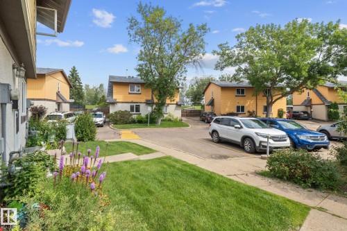 Manicured lawn with established landscaping and flowering plants - 152 Woodstock Nw, Edmonton, AB - Outdoor