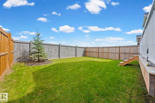 Expansive backyard with a manicured lawn, established perimeter fencing, and a decorative evergreen tree - 16128 31 Avenue Sw, Edmonton, AB - Outdoor