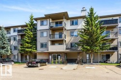 Multi-level building with individual balconies, prominent evergreen landscaping, ample exterior parking, and a stone-clad entrance - 