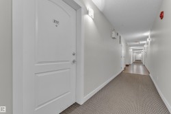 Hallway featuring textured carpeting and light-toned wall paint - 
