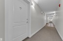 Hallway featuring textured carpeting and light-toned wall paint - #217 667 Watt Bv Sw, Edmonton, AB  - Indoor Photo Showing Other Room 