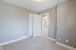 Neutral wall color, wall-to-wall carpeting, white trim, white interior doors, and overhead lighting - 