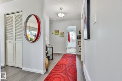 Light gray wall paint, wood-finish flooring, louvered bi-fold doors, and a ceiling-mounted light fixture - 
