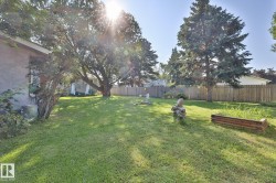 Expansive lawn area, mature trees, wood fence, raised garden bed, and stucco exterior - 