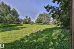 Expansive lot with lush green lawn, mature perimeter trees, and clear blue sky - 