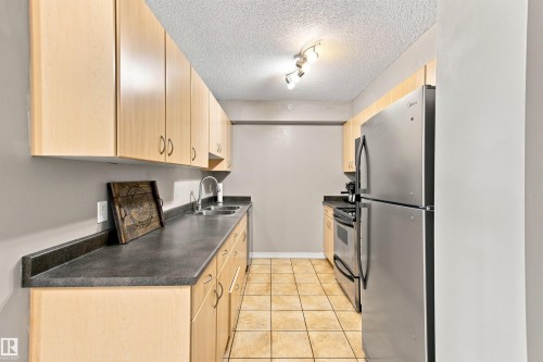 #504 10180 104 St Nw, Edmonton, AB - Indoor Photo Showing Kitchen With Double Sink