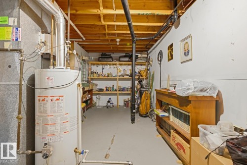 117 Oeming Road Nw, Edmonton, AB - Indoor Photo Showing Basement