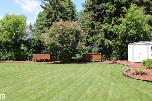 Expansive backyard featuring a manicured lawn, established trees, and a white storage shed - 5203 45 Street, Beaumont, AB - Outdoor