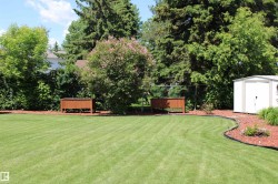 Expansive backyard featuring a manicured lawn, established trees, and a white storage shed - 